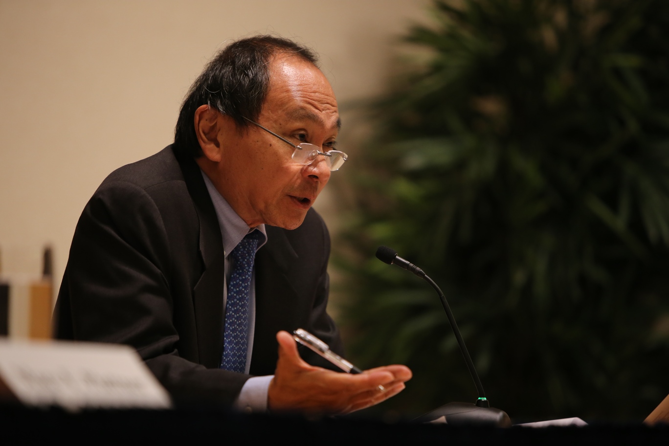 Francis Fukuyama discusses "The Governance Agenda and Global Development"